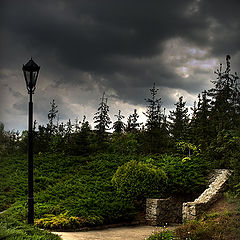 photo "The  Lantern"