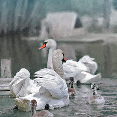 photo "***"