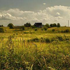 фото "Жара"