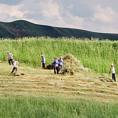 фото "Сенокос"