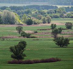 фото "В поисках горизонта"