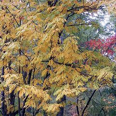 photo "Easel."