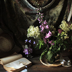 photo "Still life with flower delphinium"