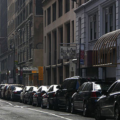 фото "Looking For A Spot"
