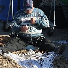 photo "the fisherman and the web"