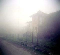 фото "Fog and life"