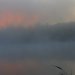 фото "Раннеутренняя"