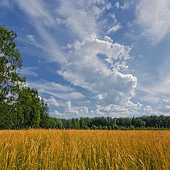 фото "Русское поле"