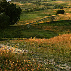 photo "Bucovina Dream"