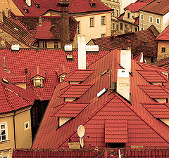 фото "Roofs"