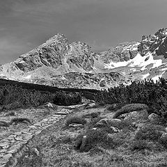 photo "Tatra Mountains"