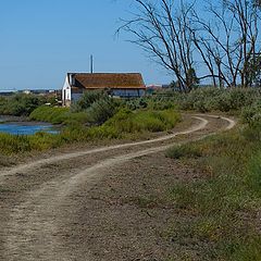 фото "THE PATH"