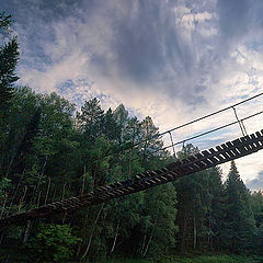 photo "The Bridge"