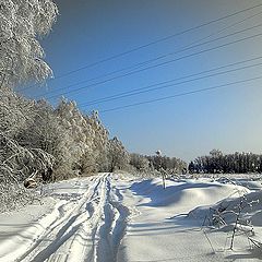 photo "природа,зима,дорога,мороз,деревья,поле,лес"
