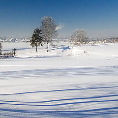 photo "Long shadows"