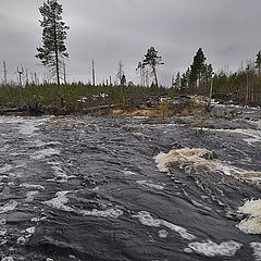 фото "Северный поток"