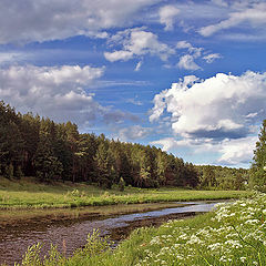 фото "летом"