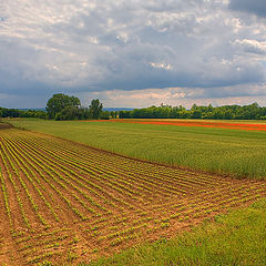 photo "Strip farming"