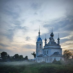 фото "парящая"