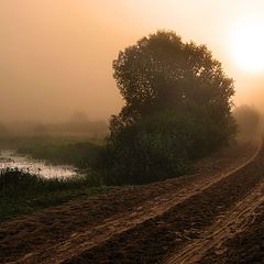 фото "дорога в туман"