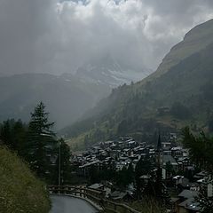 photo "After the rain"