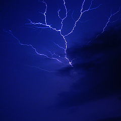 фото "lightning"