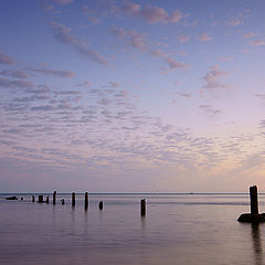 photo "The old pier"