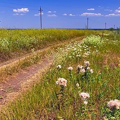 фото "В степь"