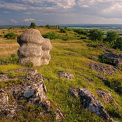 фото "Остатки старого городища"