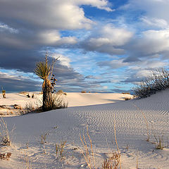 photo "White Sands. Almost sunset."