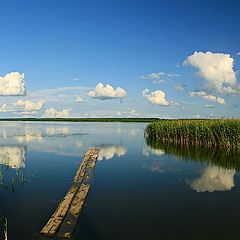 фото "У озера"