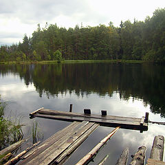 photo "Forest lake"