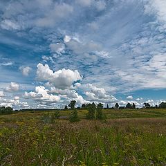 photo "Central Russian landscape"