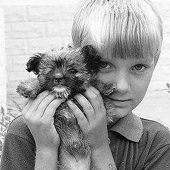 photo "Puppy and his Boy"