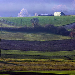 фото "Fields"