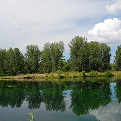 фото "зеркало"