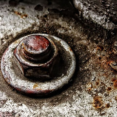 photo "Another One Bites The Rust"