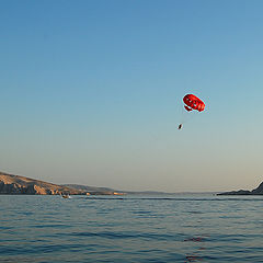 photo "Summer amusement"