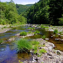 фото "river"