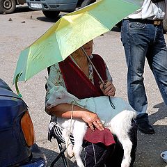 фото "Жил-был у бабушки..."