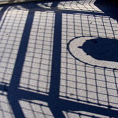 фото "Shadow."