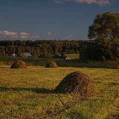 фото "Стожки."