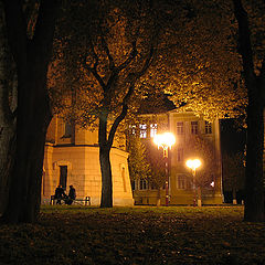 photo "Evening conversation"