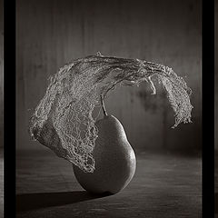 photo "Cocoon"