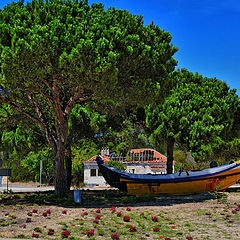 photo "Boat on the roundabout"