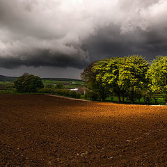 фото "Glimmer before storm"