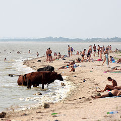 фото "теплое и ласковое  море  II"