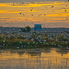 фото "EARLY MORNING"