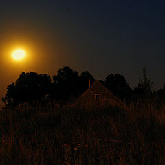 photo "Under the full moon"