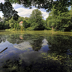 photo "Old pond"